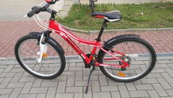 Horské kolo Dema Pegas vel. 24