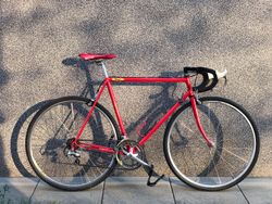 Kolo favorit F1 vel. 58
