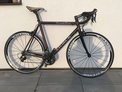 Storck Scenario Team