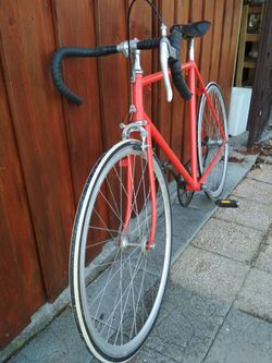 Favorit, torpédo singlespeed