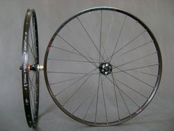 Black Jack TLR - Novatec - Sapim