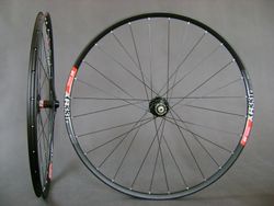 DT XR331 - Novatec - Sapim