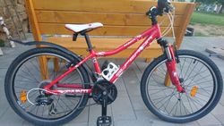 Superior XC 24 Paint