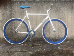 FIXKA LEADER light weight (edice Festina)