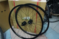 Gest 29"