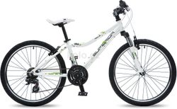 SUPERIOR XC 24 Paint