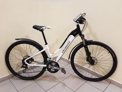 Specialized ARIEL INT COMP DISC