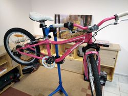 Specialized Hotrock 20"