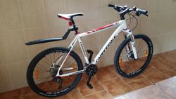 CANNONDALE TRAIL SL2