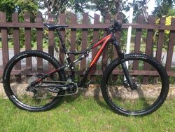 Specialized Stumpjumper 29"