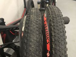 Specialized Renegade
