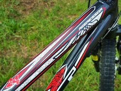 GT Aggressor 24"