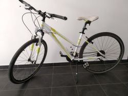 Leader Fox Toscana Lady, kros 17"
