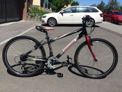 Sundance Race Kid 24"