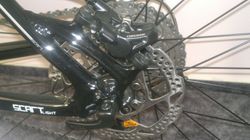 TREK RADON Scart light 28"