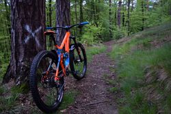 GIANT REIGN 1.5 LTD, vel. M