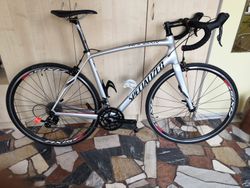 Specialized Roubaix SL4 Sora C2 Silver, vel. 52