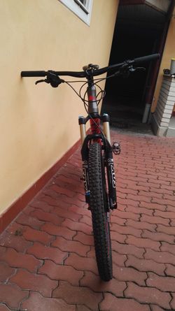 Canyon Nerve Al 7.0