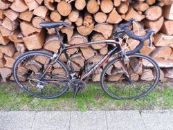 Specialized Roubaix Expert Carbon
