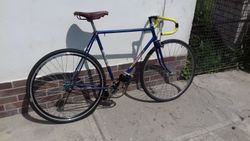 Fixie favorit