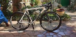 Ibis Hakkalugi - 56cm - L