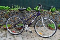 dámské kolo Raleigh Sports
