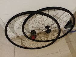 Kola Sun Ringle 26"