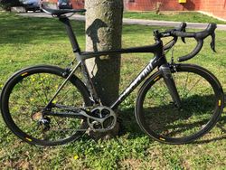 Cipollini Bond
