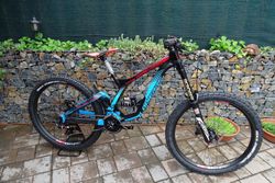 Lapierre DH TEAM