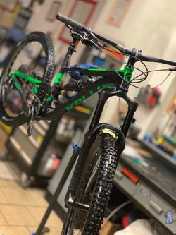 Kellys Swag 50 2018 M