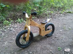 Early rider
