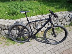 Radon ZR Race 29"