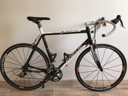 Focus Izalco Prodám/vyměnim