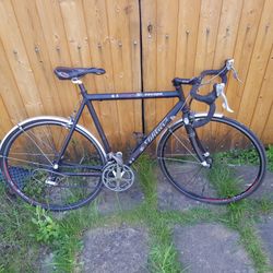 Wilier Escape