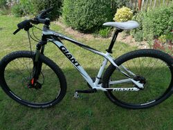 Giant Talon 29