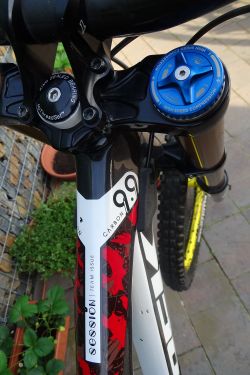 Trek Session 9.9 carbon