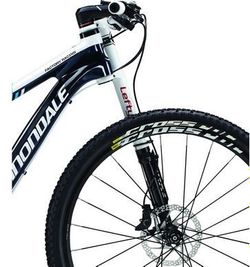 Mavic Crossroc WTS Disc 29" LEFTY INTL zapletená kola - Cannondale