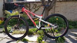 Specialized Epic FSR Comp