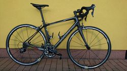 Focus ERGORIDE Ultegra na kolech MAVIC Ksyrium Elite