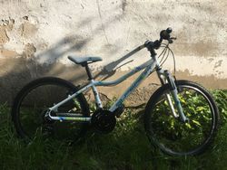 Superior Paint 24"