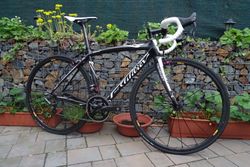 WILIER TRIESTINA CARBON