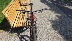 Canyon Spectral AL 7.0 XL