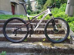 Specialized Epic Carbon 29