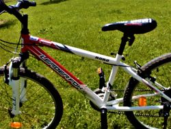 Dětské kolo Leader Fox Bobo 24''