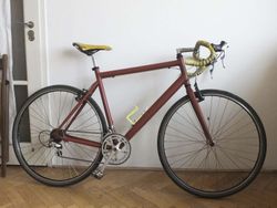 crossové kolo Giant velikost 56