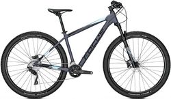 FOCUS WHISTLER 3.8 MODEL 2019