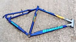 BIANCHI NTH L460