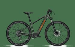 FOCUS WHISTLER 6.9 MODEL 2019
