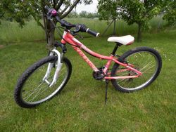 Dětské kolo Kellys Kiter50 velikost 24"