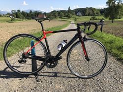 Bottecchia Emme4 Superlight so sadou Dura Ace a Dura Ace C24 Carbon kolesami